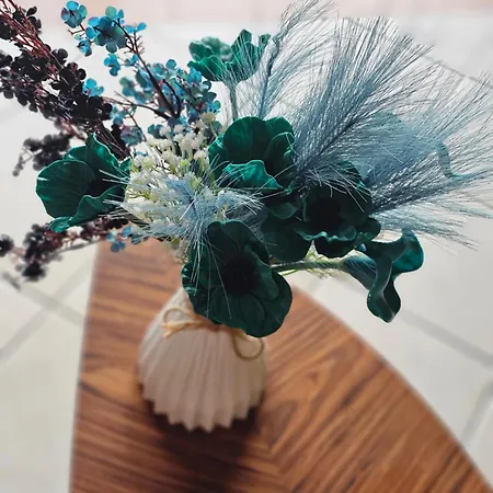 Apartament Country View