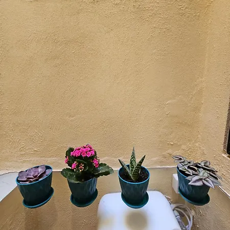 Country View Apartament *