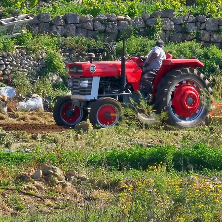 Country View *