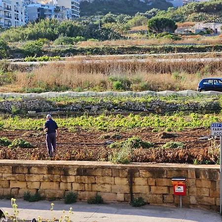 Country View * Mellieħa
