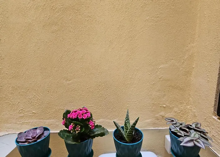 Country View Apartament *