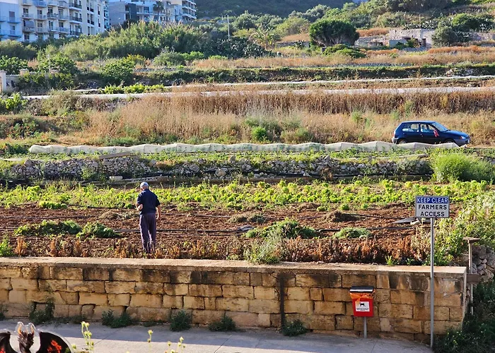 Country View * Mellieħa
